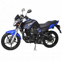  BANDIT 300   