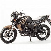  BANDIT 300   