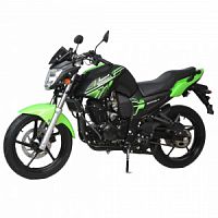  BANDIT 300   