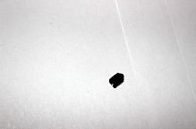 �������� ��������������� CFMOTO JetMax 250 01A0-023003