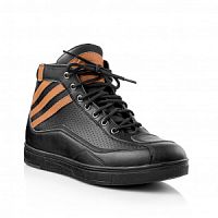 ������������� MOTEQ Robust, �������